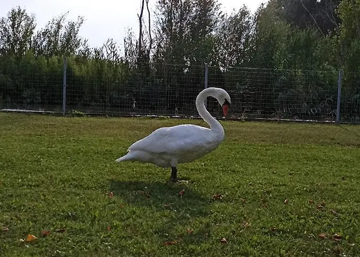 Hébergement de vacances Krezo Haz Gyenesdiás